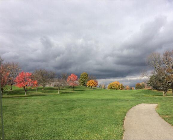 Medina Country Club: Championship, Medina