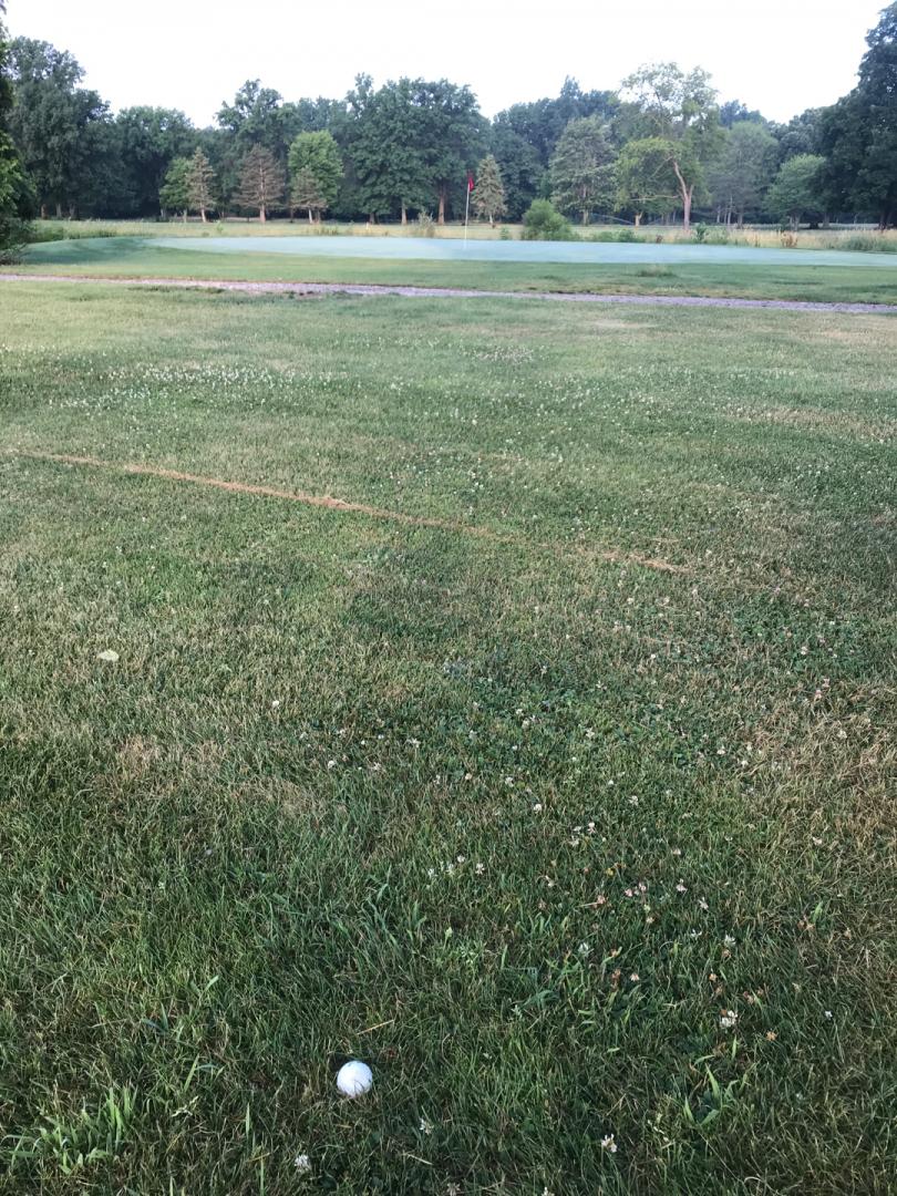 Willow Creek Golf Club, Vermilion