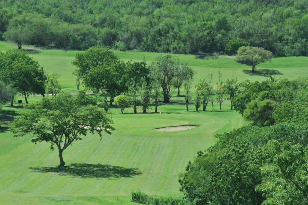 Cedar Valley Golf Club: International, Guthrie