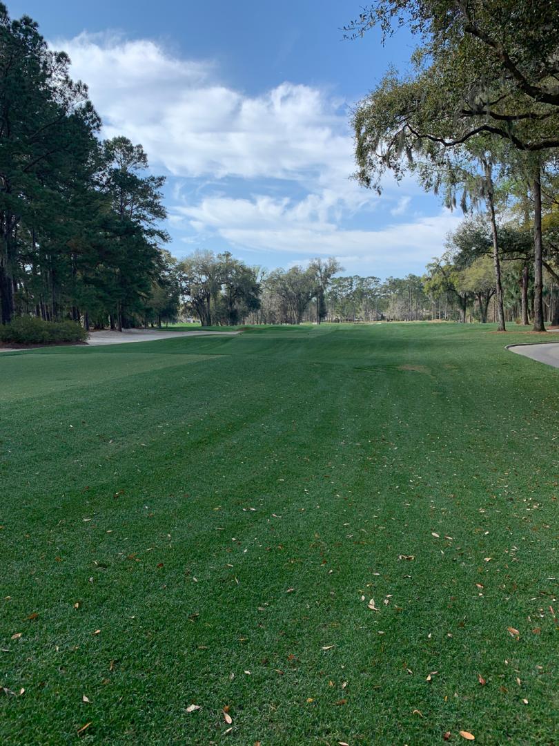 Belfair Golf Club: East, Bluffton