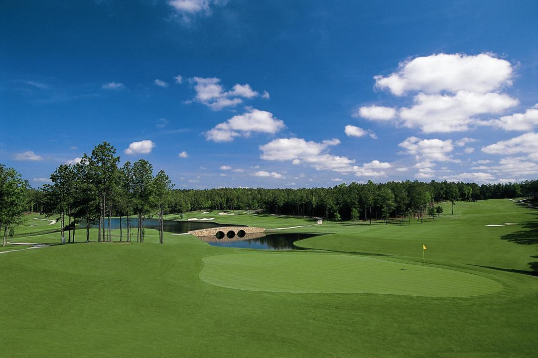 Mount Vintage Golf Club: Independent/Chester, North Augusta