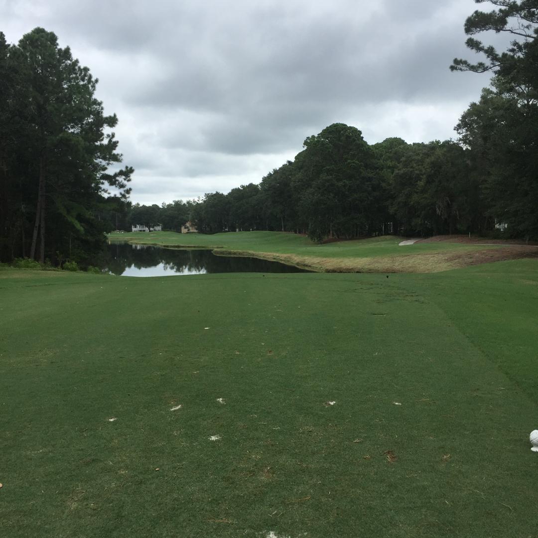 Palmetto Hall Country Club: Hills Course, Hilton Head Island