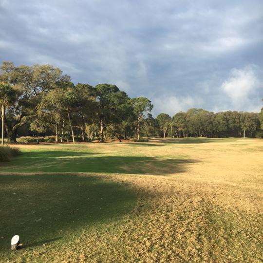Port Royal Golf Club: Robber's Row, Hilton Head Island