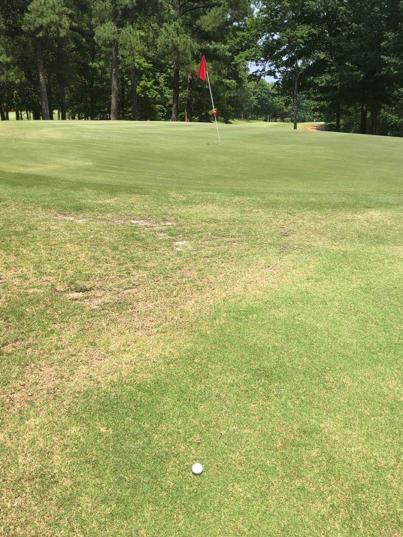 Rolling Green Golf Club: 1-9/10-18, Easley