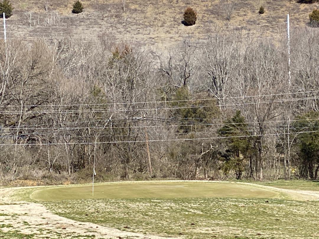 Tri-Cities Golf Club: Woods/Pines, Blountville