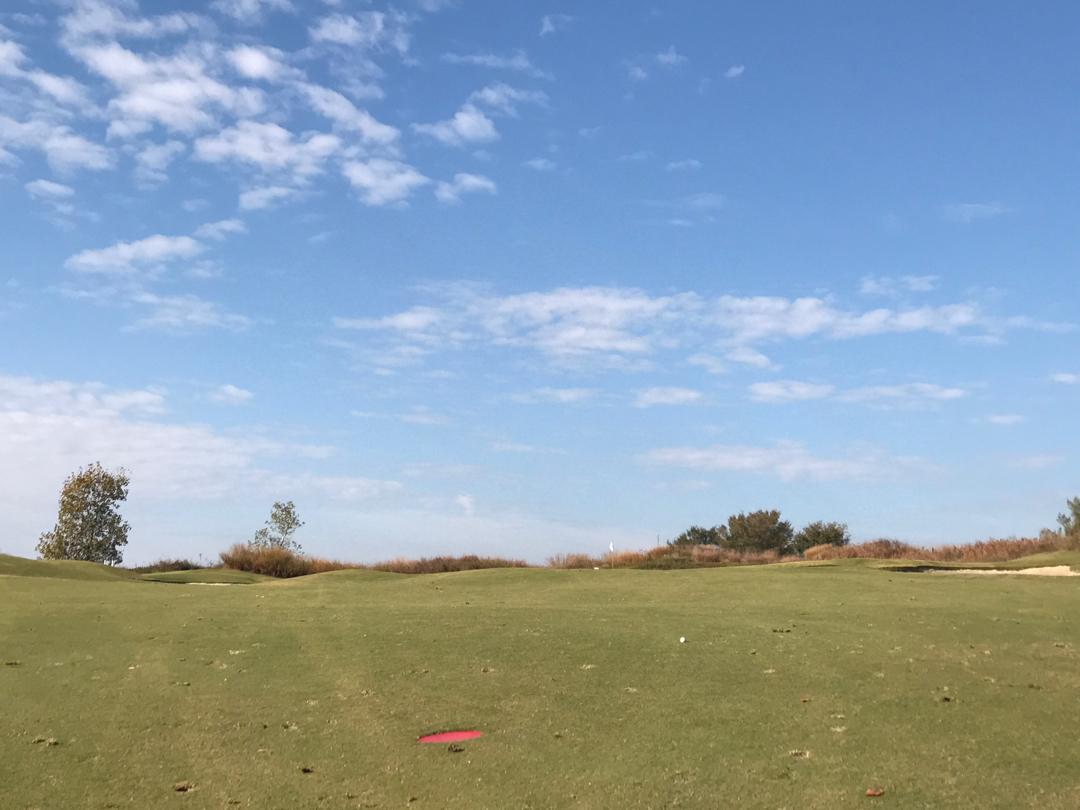 Grapevine Golf Course: Mockingbird/Bluebonnet, Grapevine