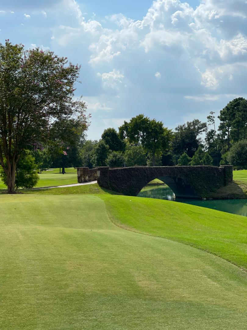 Pine Forest Country Club: Green/Gold, Houston