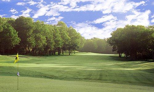 The Club at Pecan Grove: Pecan/Grove, Richmond