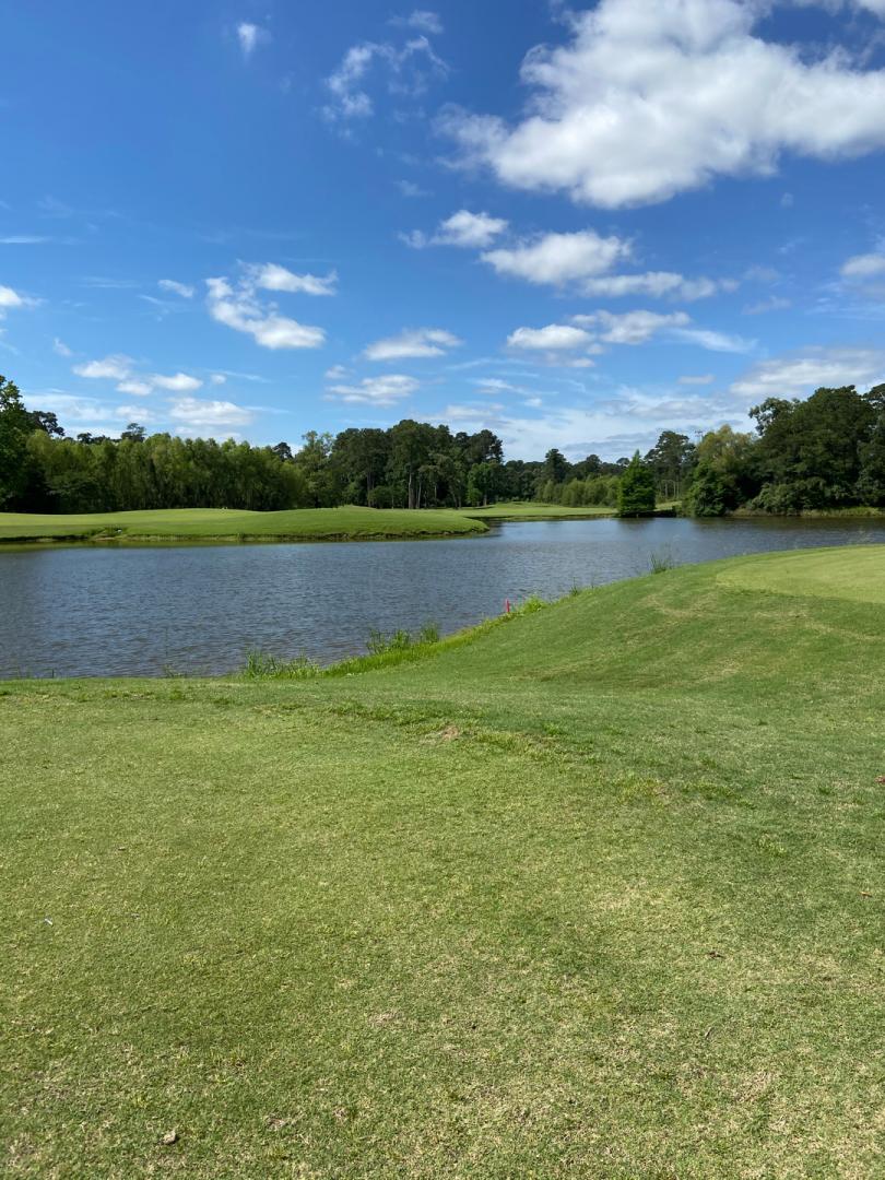 The Woodlands Country Club Palmer Course: North Course, The Woodlands