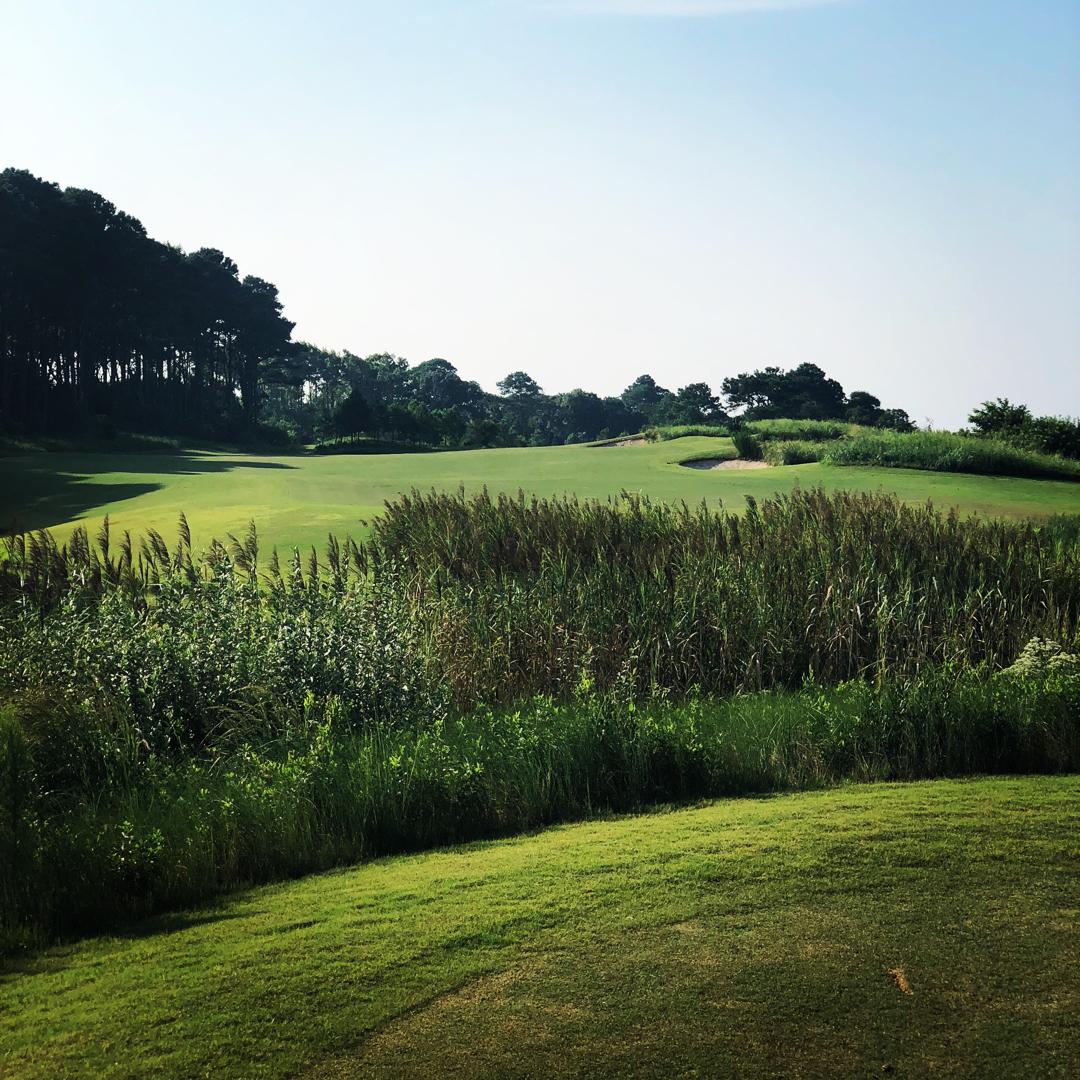 Bay Creek Resort & Club: Nicklaus Front/Palmer Front, Cape Charles