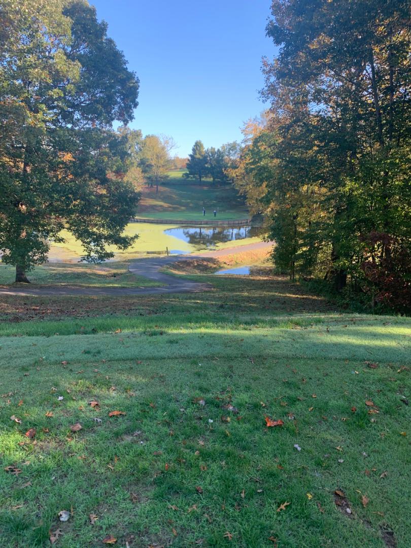 Meadows Farms Golf Course: Island/Waterfall, Locust Grove