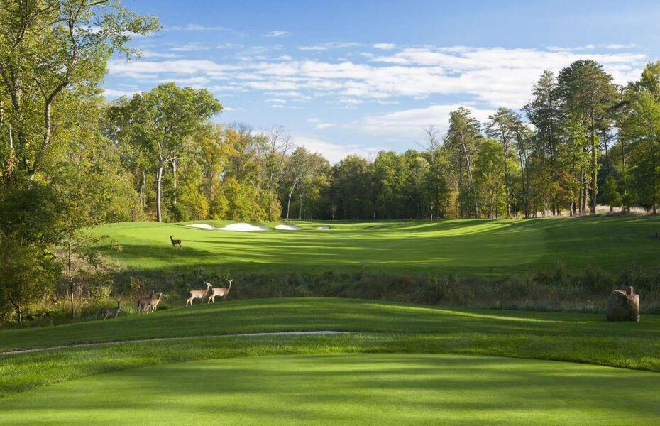 Norman Course, Leesburg