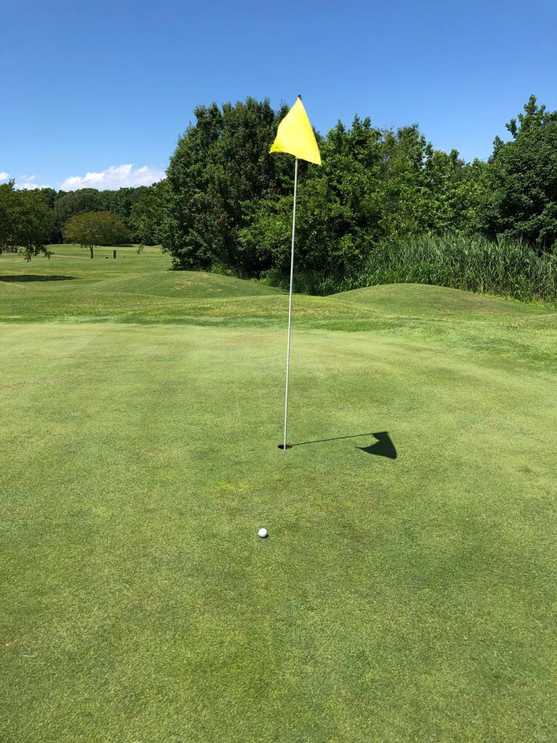 The Hamptons Golf Course: Woods/links, Hampton