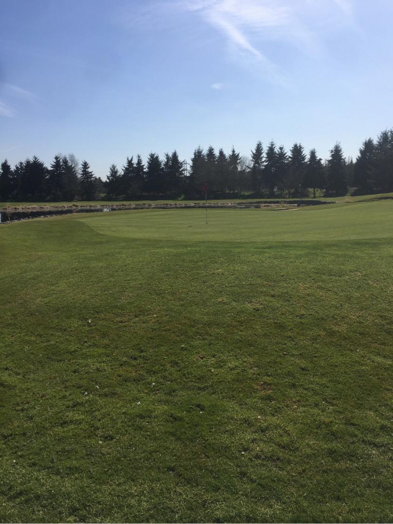 Willows Run GC: Coyote Creek, Redmond