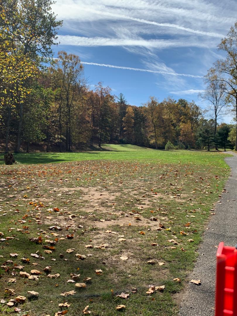 The Woods: Stony Lick, Hedgesville